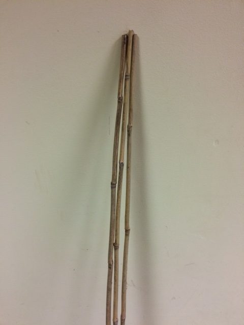 Bamboo Canes for Trees