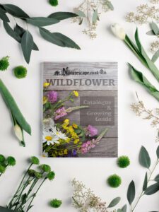 naturescape wildflower catalogue and growing guide